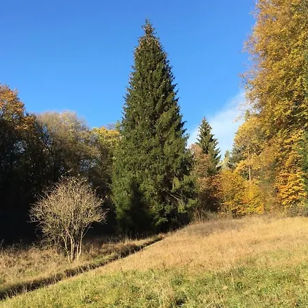 Holiday Tachbachtal Apartment Themar